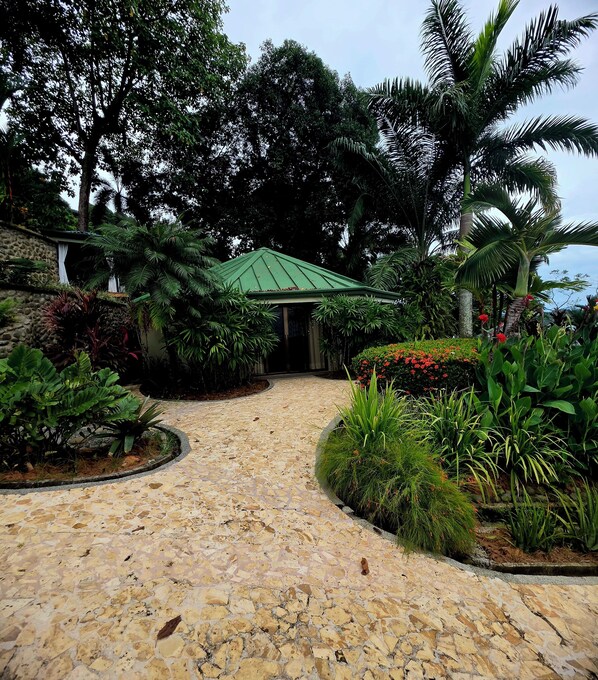 Un chemin pavé mène à un bâtiment doté d’un toit végétalisé, qui est entouré d’une végétation luxuriante et de diverses plantes.