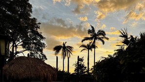Una piscina con borde de ladrillo, rodeada de palmeras y una estructura de techo de paja.