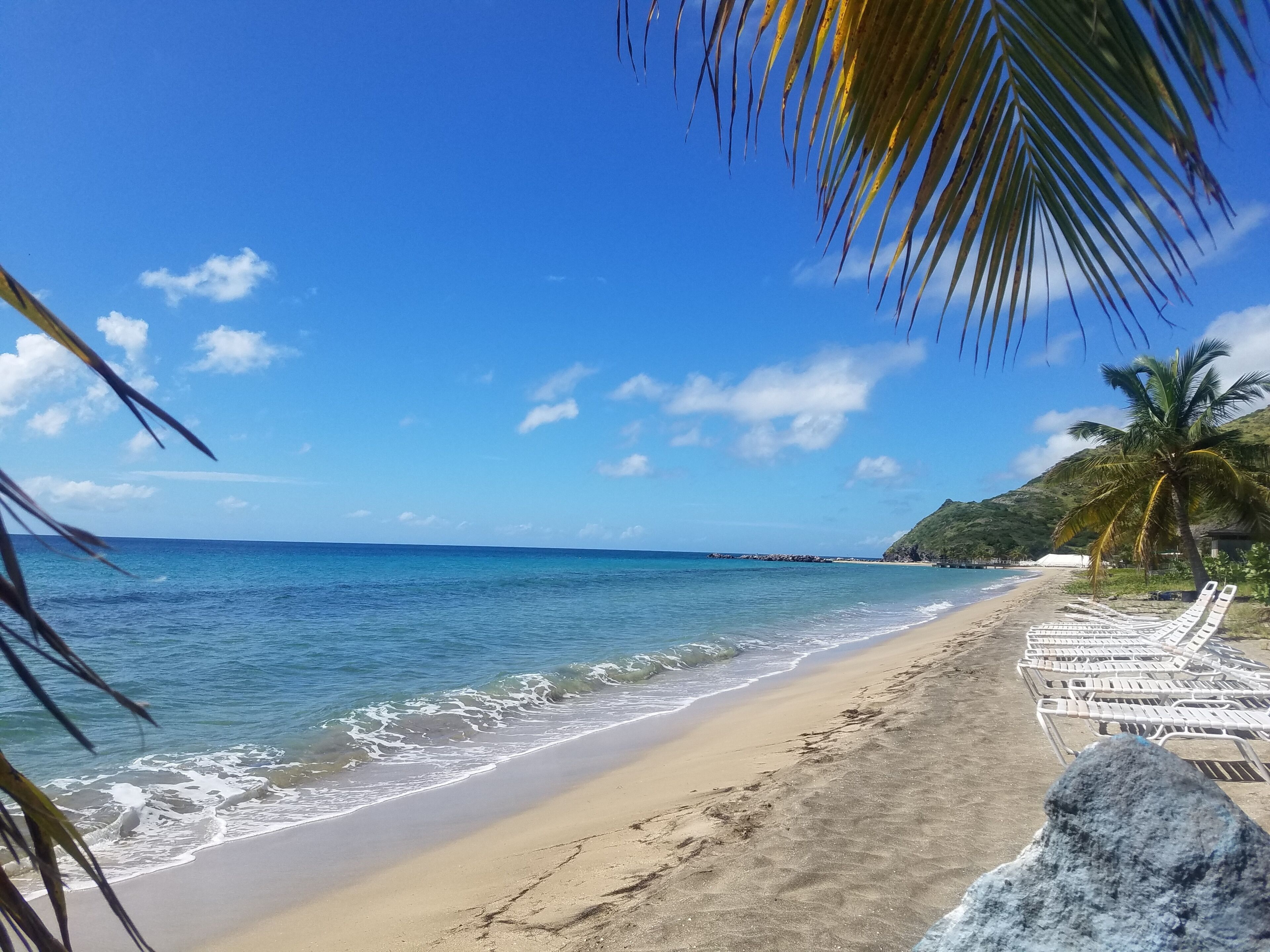 A beach with clear blue water, a sandy shore, and a row of white lounge chairs.