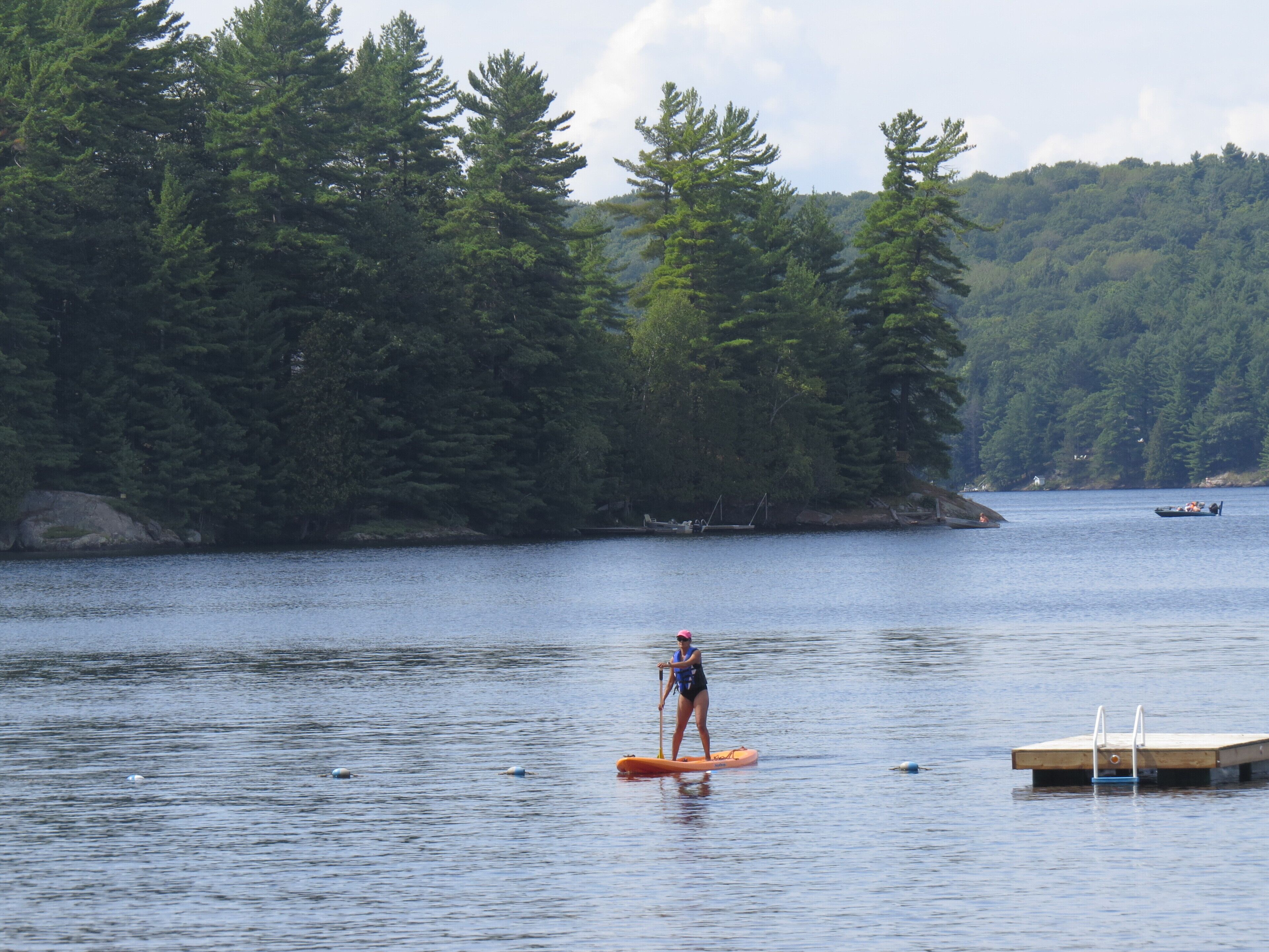 Uma pessoa praticando paddleboard em um lago calmo, com uma floresta densa na margem.