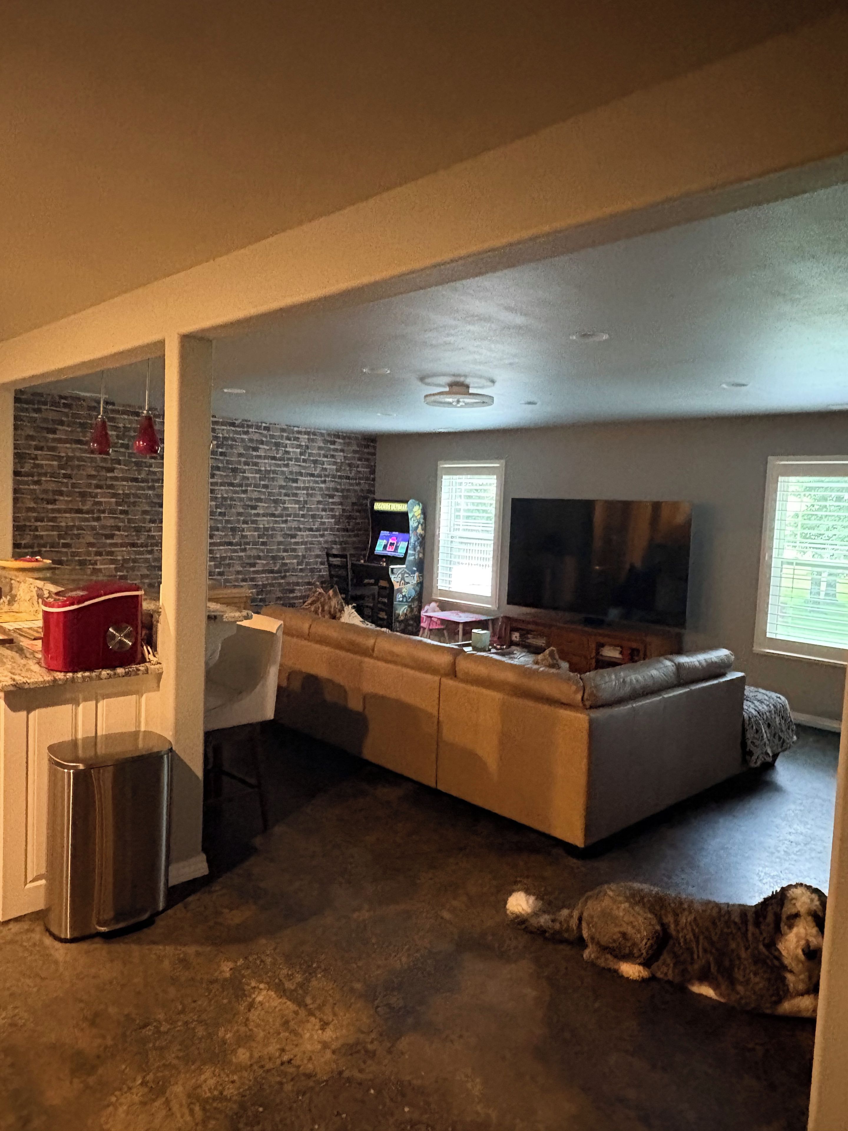 A living room with a sofa, a television, and a dog lying on the floor.