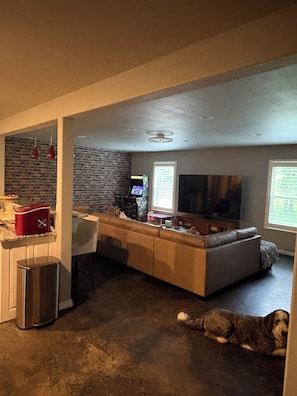 A living room with a sofa, a television, and a dog lying on the floor.