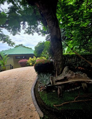 Une allée pavée mène à un bâtiment doté d’un toit végétalisé, entouré d’une végétation luxuriante et d’un grand arbre.