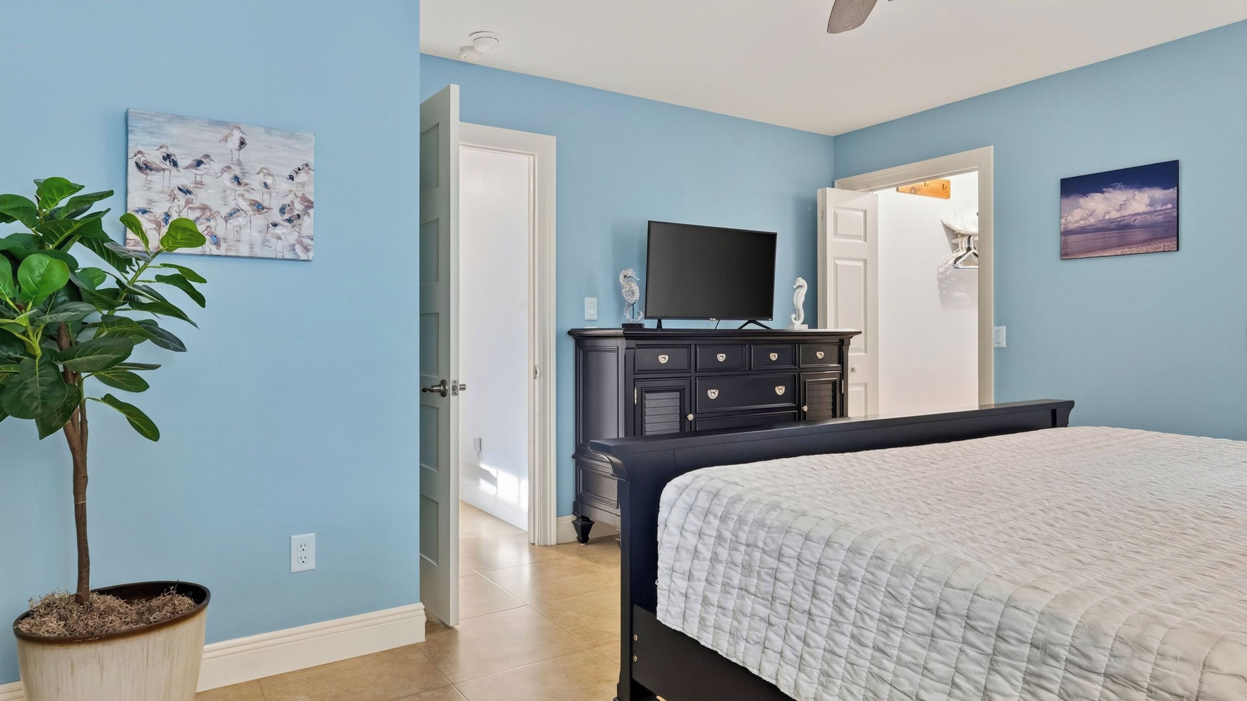 A bedroom with a bed, a dresser, a television, and a plant.