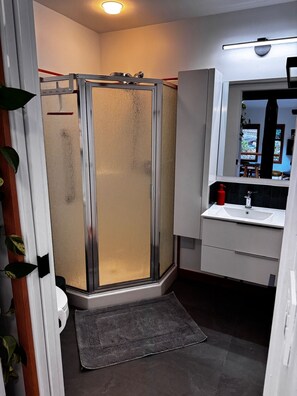Un baño moderno con cabina de ducha de vidrio, un lavabo blanco y un espejo sobre él.