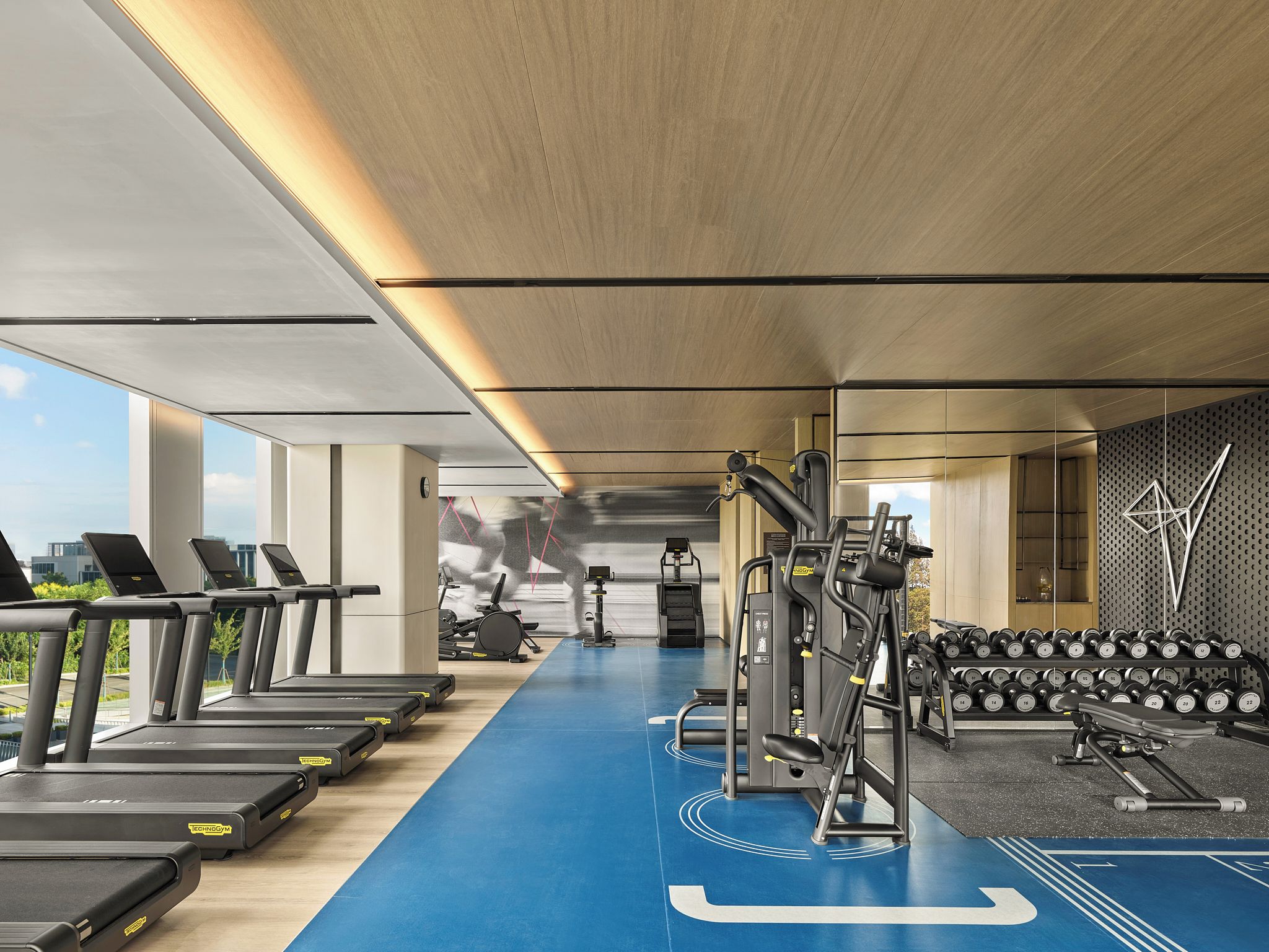A modern gym with treadmills, elliptical machines, and free weights.
