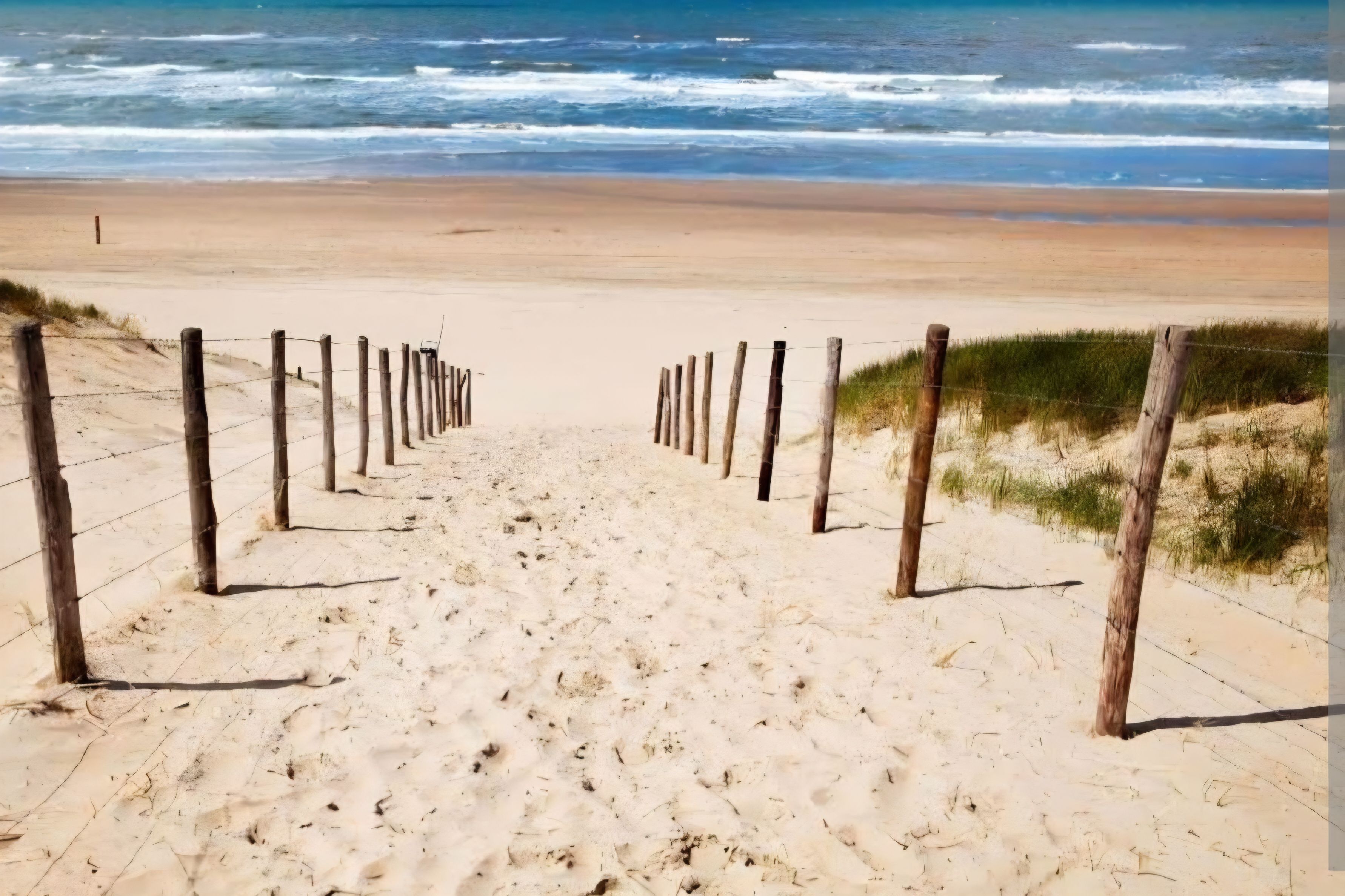 Caminho de areia que leva ao oceano, delimitado por estacas de madeira e uma cerca de arame.