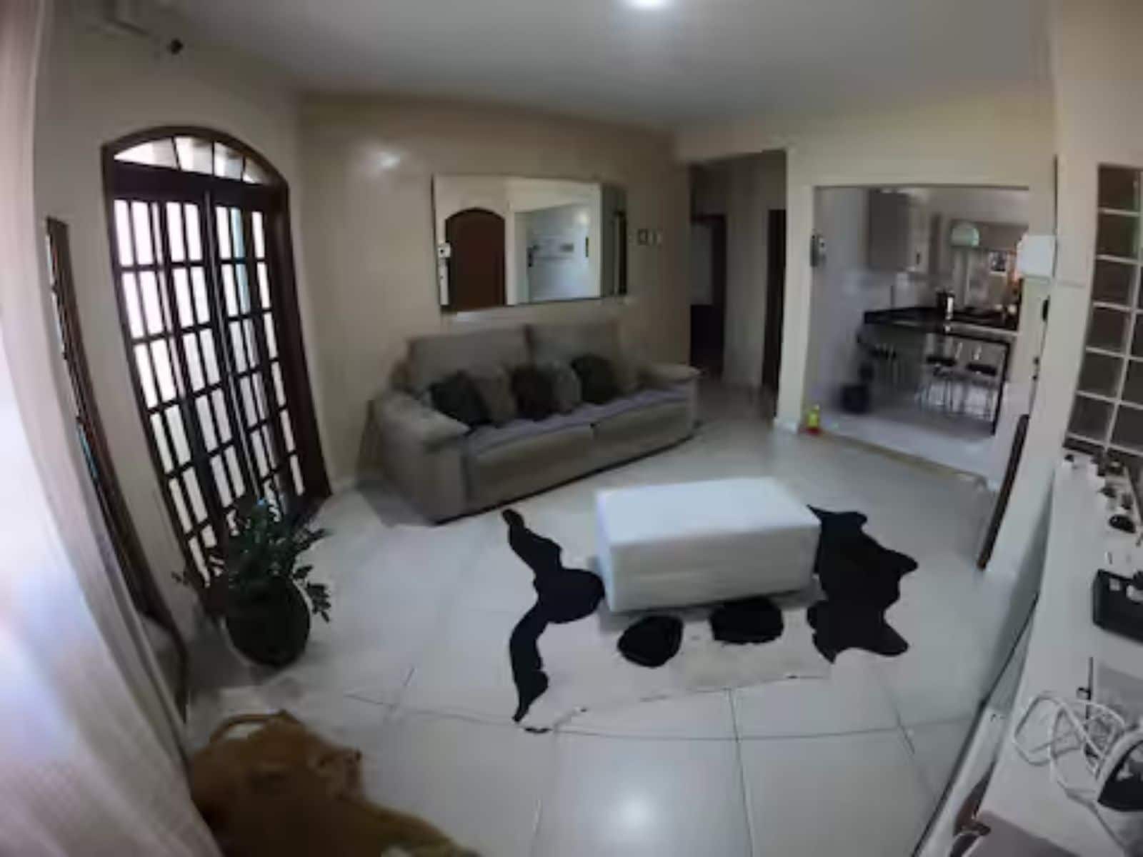 A living room with a sofa, a coffee table, and a dining area with a kitchen in the background.