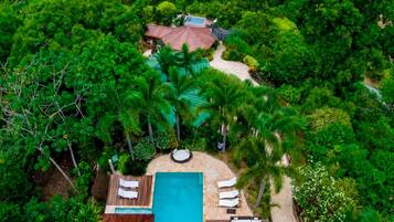 Un complexe hôtelier tropical doté d’une piscine, de chaises longues et offrant une vue sur l’océan.