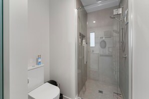 Ein modernes Badezimmer mit einer gläsernen Duschkabine, einer weißen Toilette und einem kleinen Ablagebereich für Pflegeprodukte.