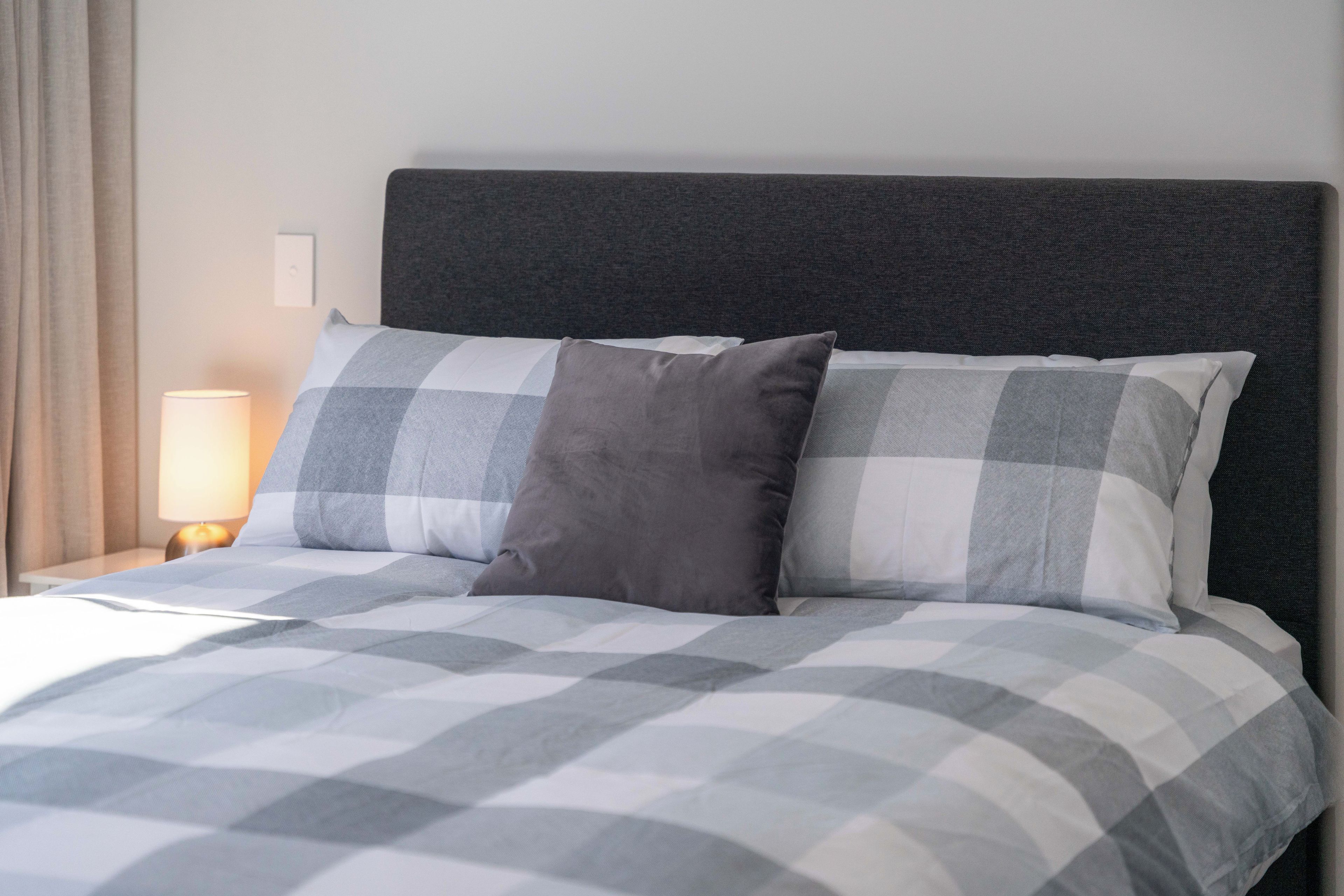 A bed with a checkered bedspread, two pillows, a bedside lamp, and a dark headboard.