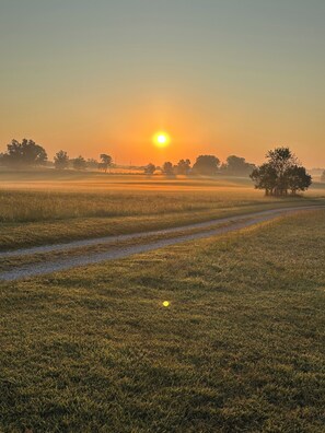 Een landelijk landschap met een pad door een grasveld naar een groep bomen.