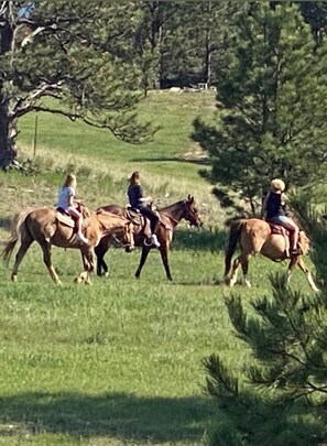 Three individuals riding horses on a grassy field with trees in the background. - 3-bedroom house with acreage for horses. Fire pit and Hot Tub. (Hot Springs)