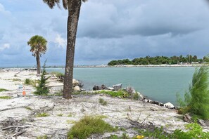 A beach with a palm tree, rocky shoreline, and calm water. - Venice Beach Getaway @ Gulf Point (Venice)
