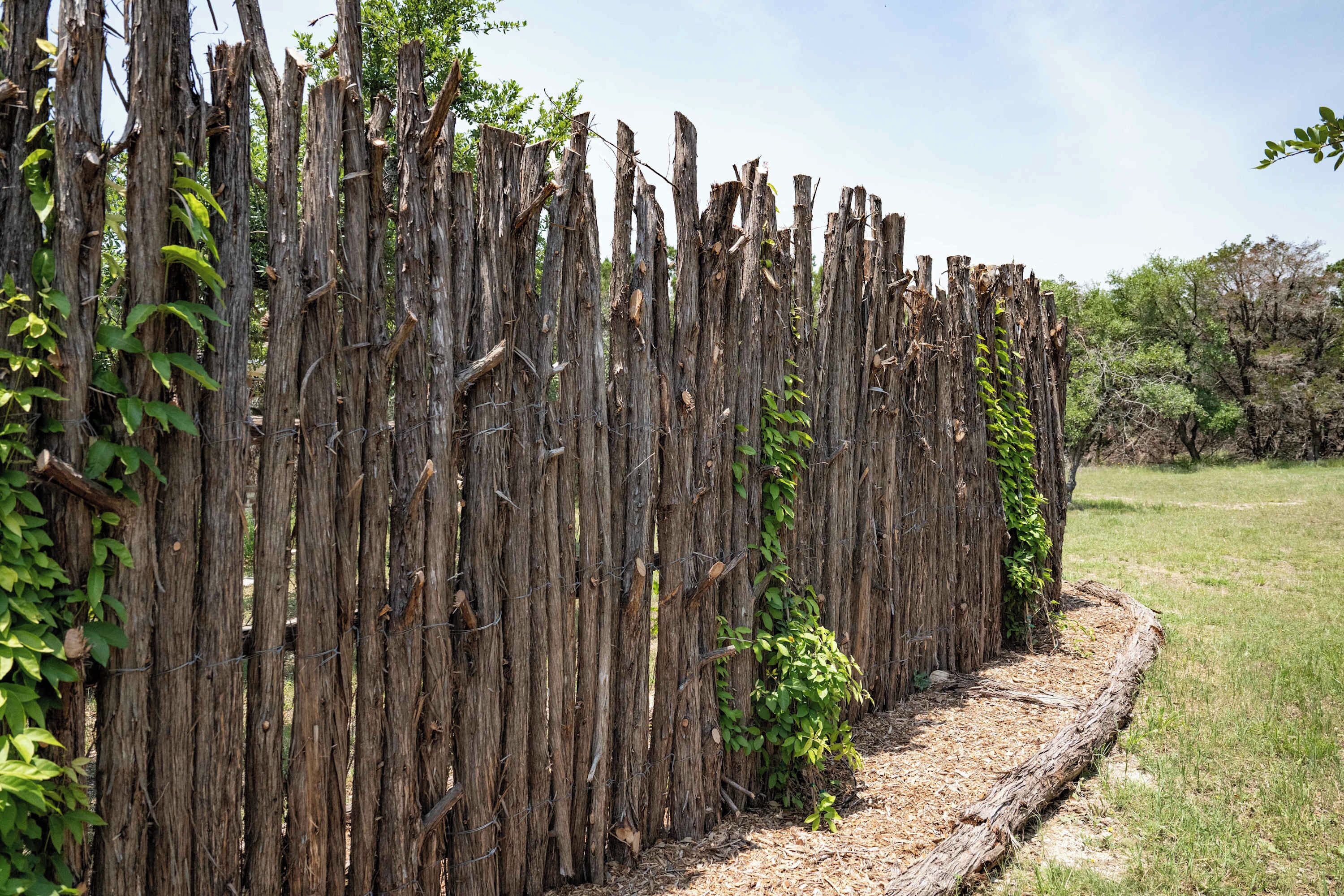 A wooden fence with vertical planks and a wire mesh, surrounded by greenery.