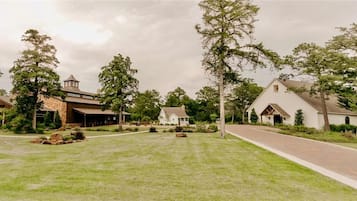A residential area with a paved driveway, a white house with a gabled roof, and a large tree in the foreground.