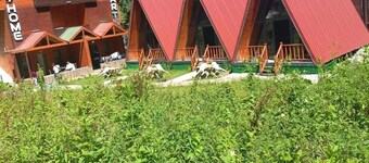 Ayhome Apart Bungalow