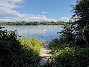 A pathway leading to a calm lake surrounded by dense greenery.