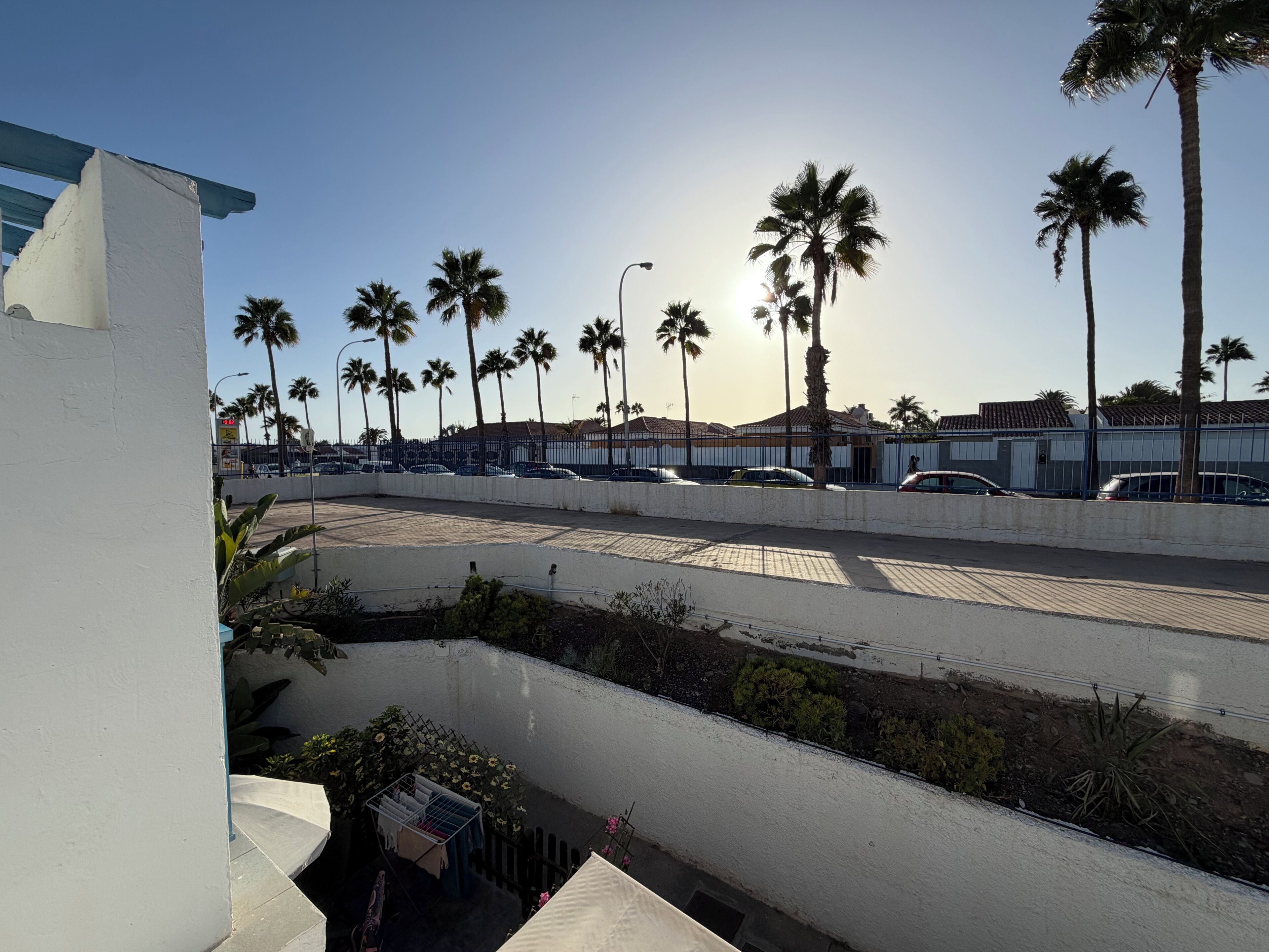 A parking area with multiple cars, palm trees, and a building with a white facade.