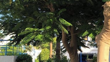 Un sentier bordé d’arbres et un bâtiment.