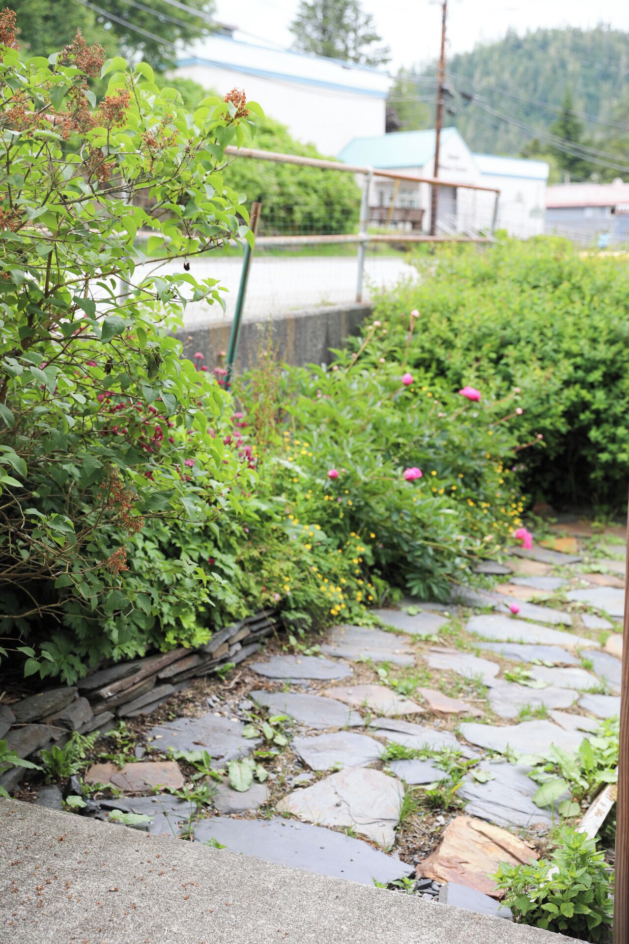 Un sendero en un jardín con adoquines de piedra, rodeado de abundante vegetación y plantas con flores.