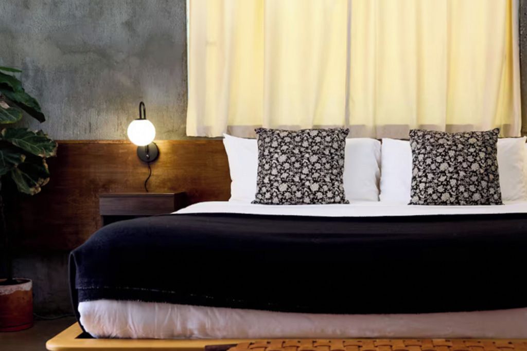 Une chambre d’hôtel avec un lit, une table de chevet avec une lampe, une plante en pot et une fenêtre avec des rideaux.
