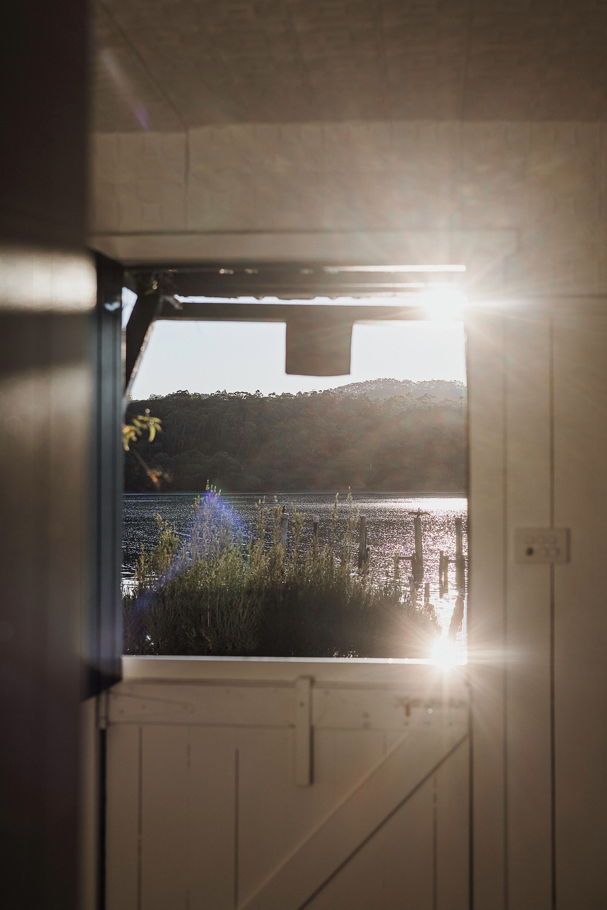 A view through a window with sunlight shining on a body of water and vegetation.