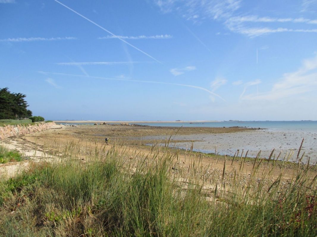 Een kustlandschap met een zandstrand, duinen begroeid met gras en een heldere lucht.