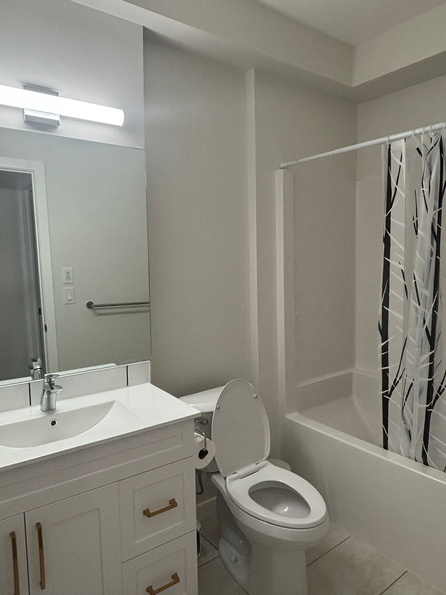 Hair dryer, towels, soap