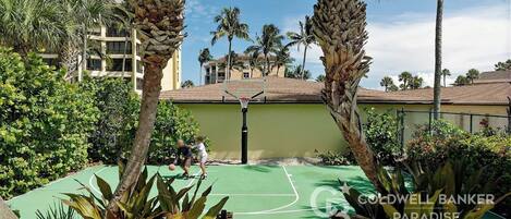 A basketball court surrounded by palm trees and greenery, with a building in the background.