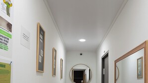 A hallway with a potted plant, framed pictures, and a mirror on the walls. - Exclusiveapt Wifi Balcony Tv Laundry Medellín (Medellín)