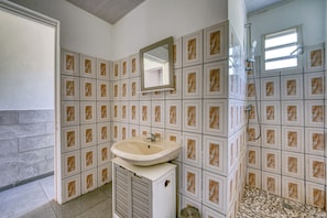 A bathroom with a sink, mirror, and shower. - Petit Salomon - Jardin - Proche plage (Saint-Pierre)