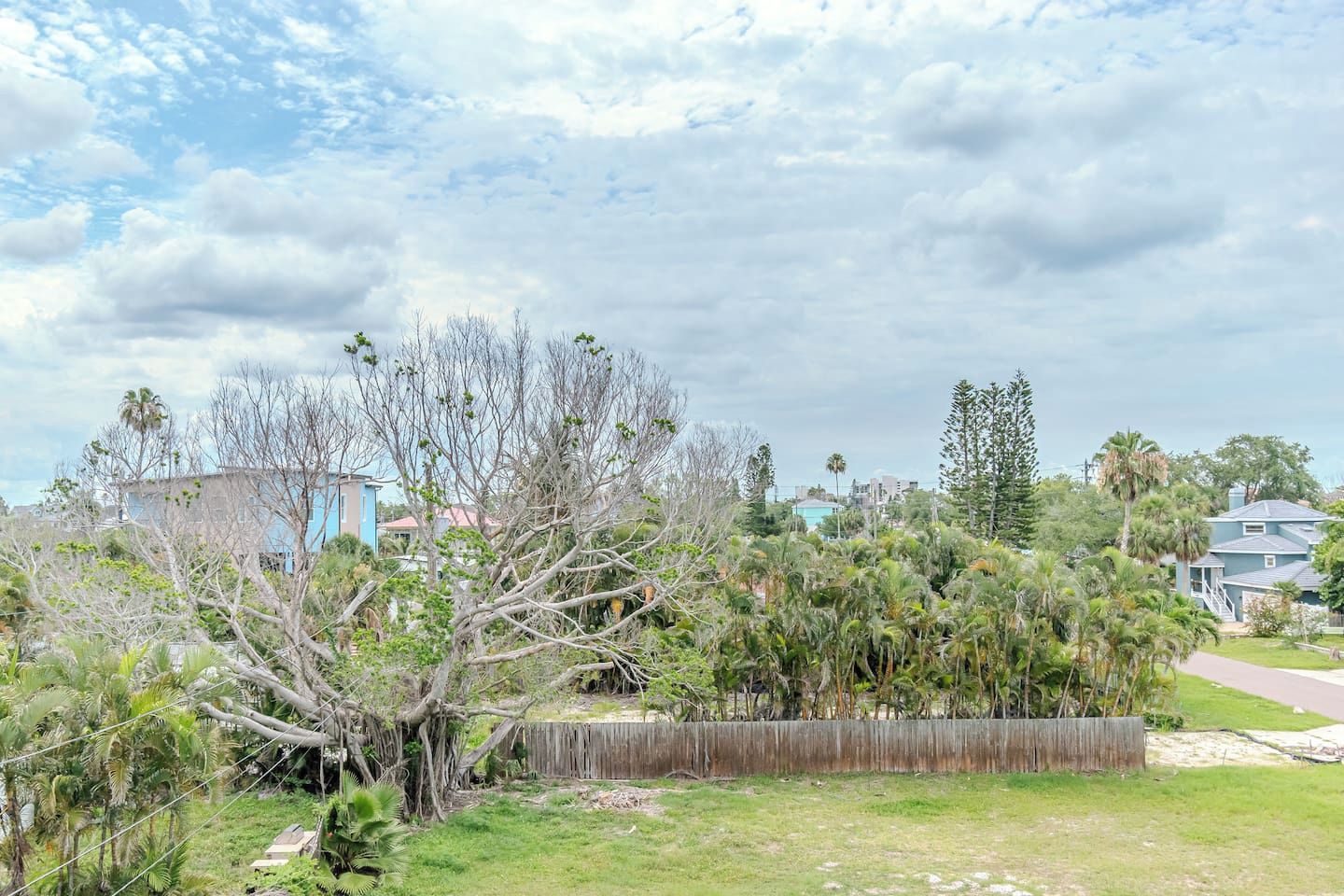 A residential area with houses, a wooden fence, and a variety of trees.