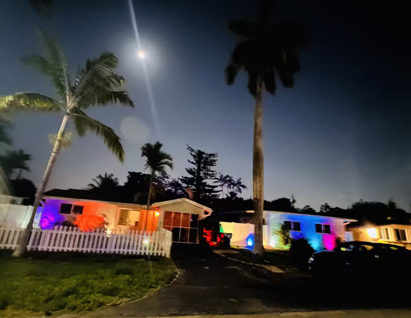 A residential area with houses and palm trees at night.