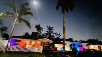 A residential area with houses and palm trees at night.