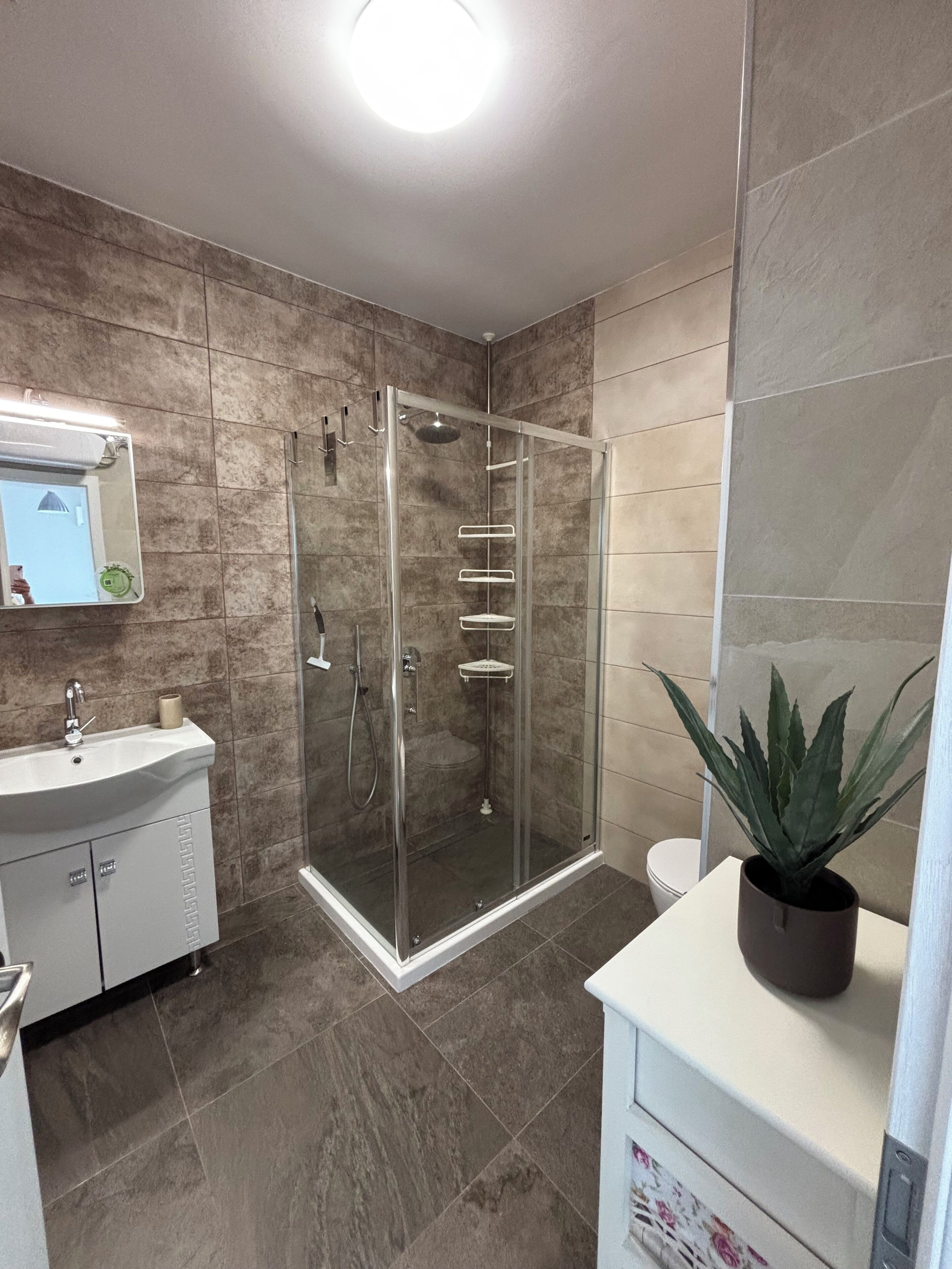 Une salle de bain moderne avec une douche en verre, un lavabo avec un miroir et une plante en pot.