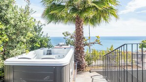 Un jacuzzi con vista al mar y una palmera.