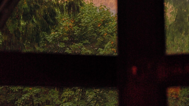 Blick aus dem Fenster auf eine gebirgige Landschaft mit üppiger Vegetation im Vordergrund.