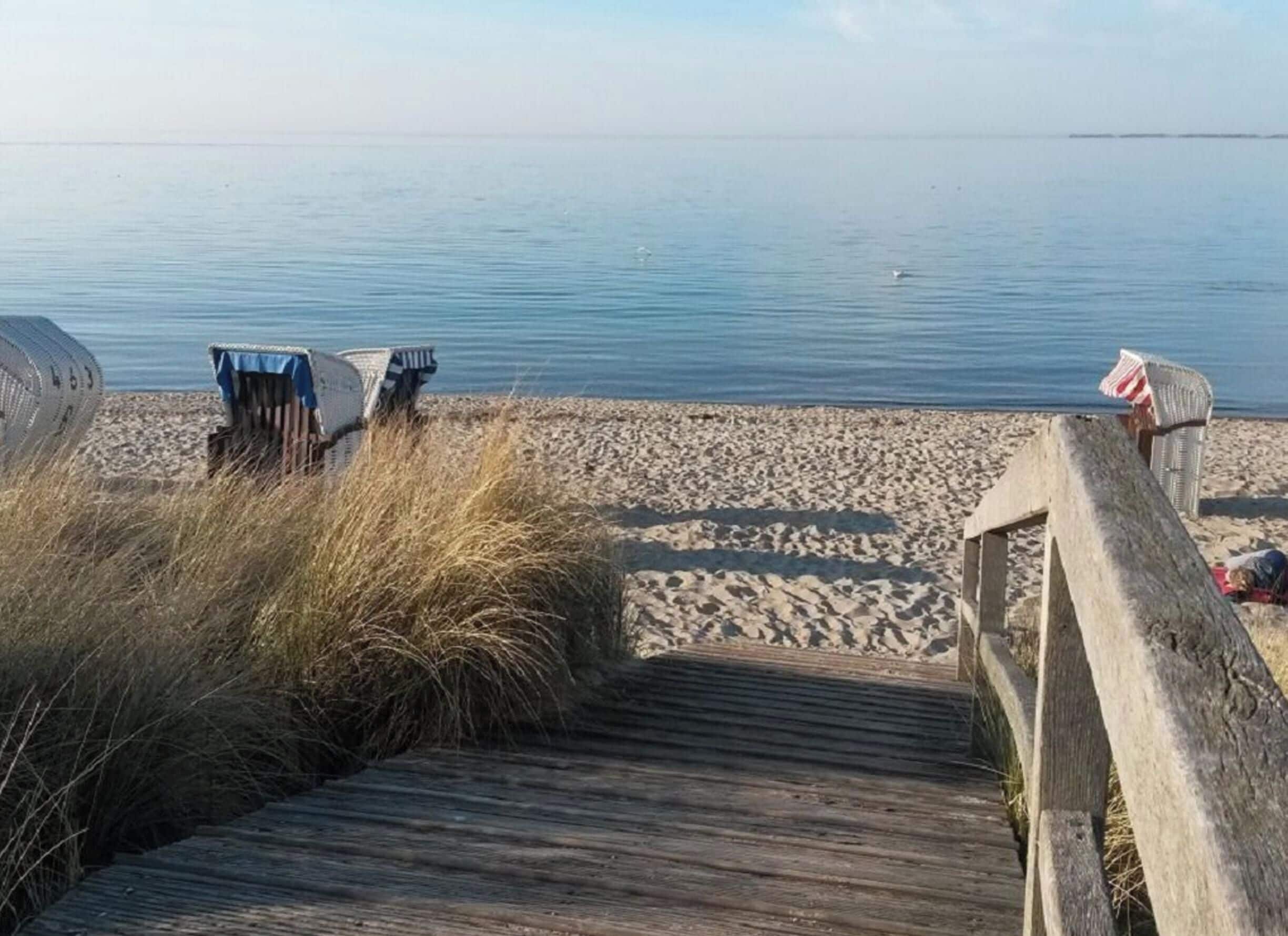 Ein hölzerner Steg führt zu einem Sandstrand, im Hintergrund liegt ruhiges Wasser.