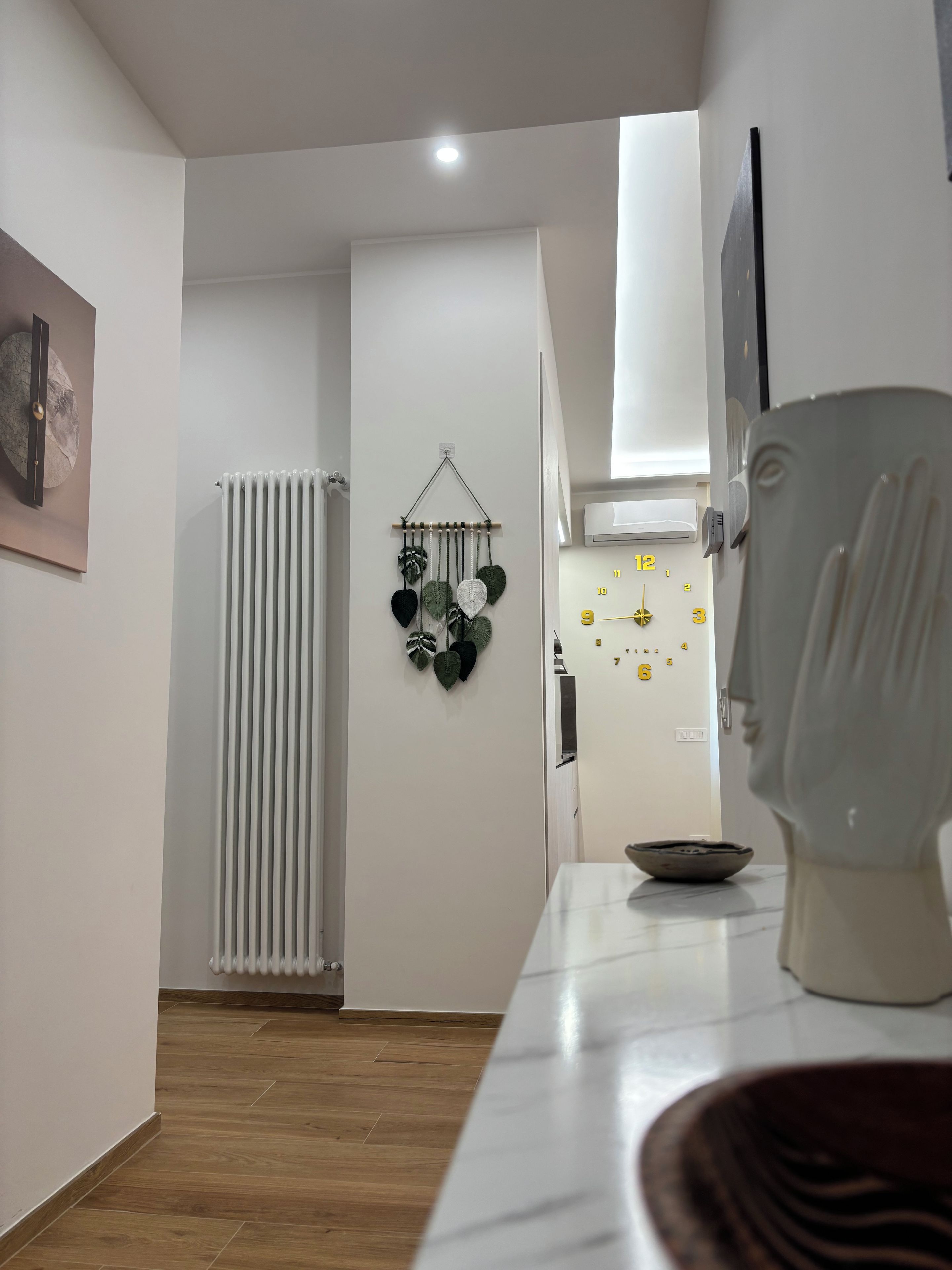 A modern kitchen with a white countertop, a hanging plant, and a white radiator.