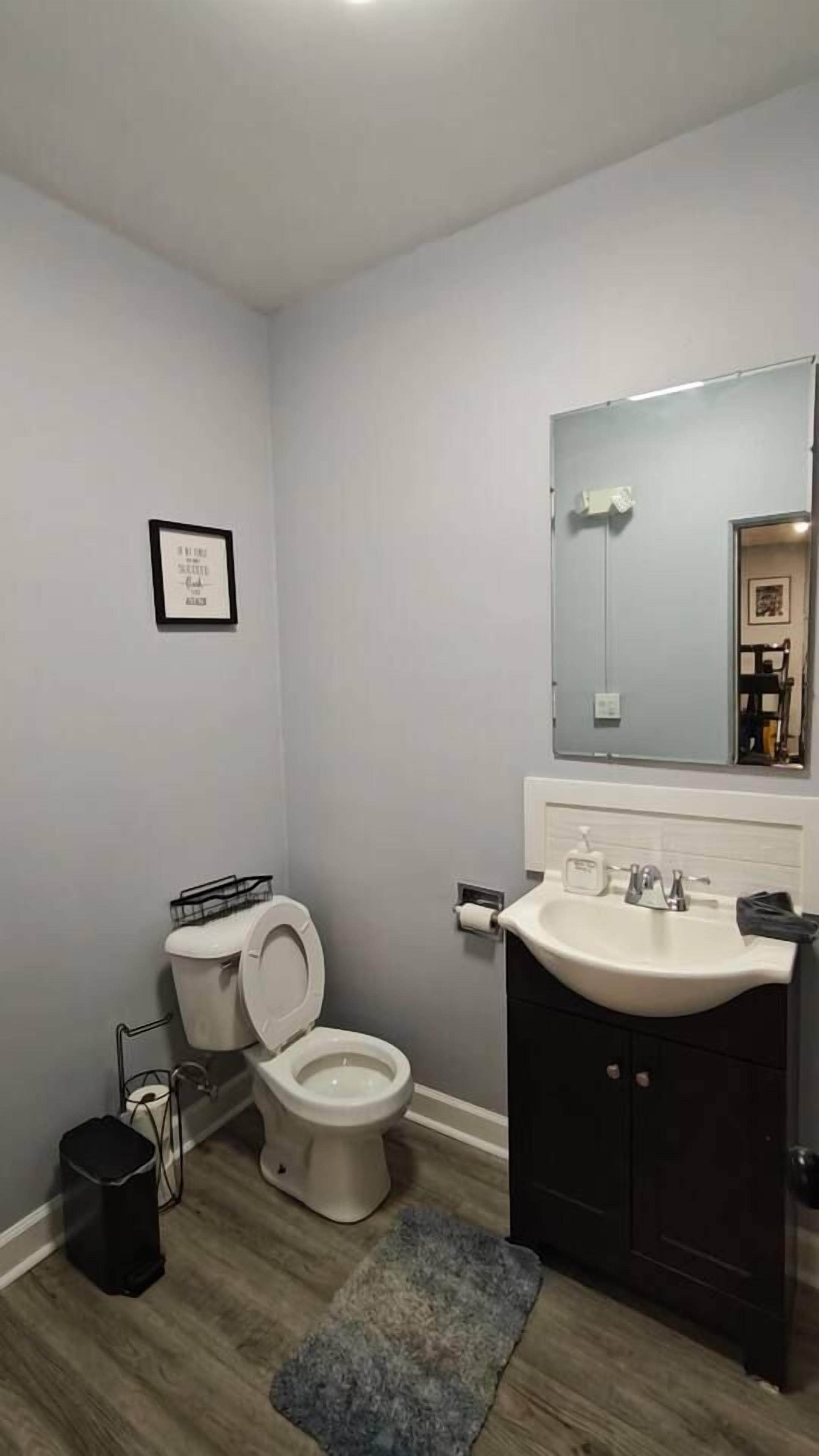 Un baño con inodoro, lavamanos, espejo y un cuadro en la pared.