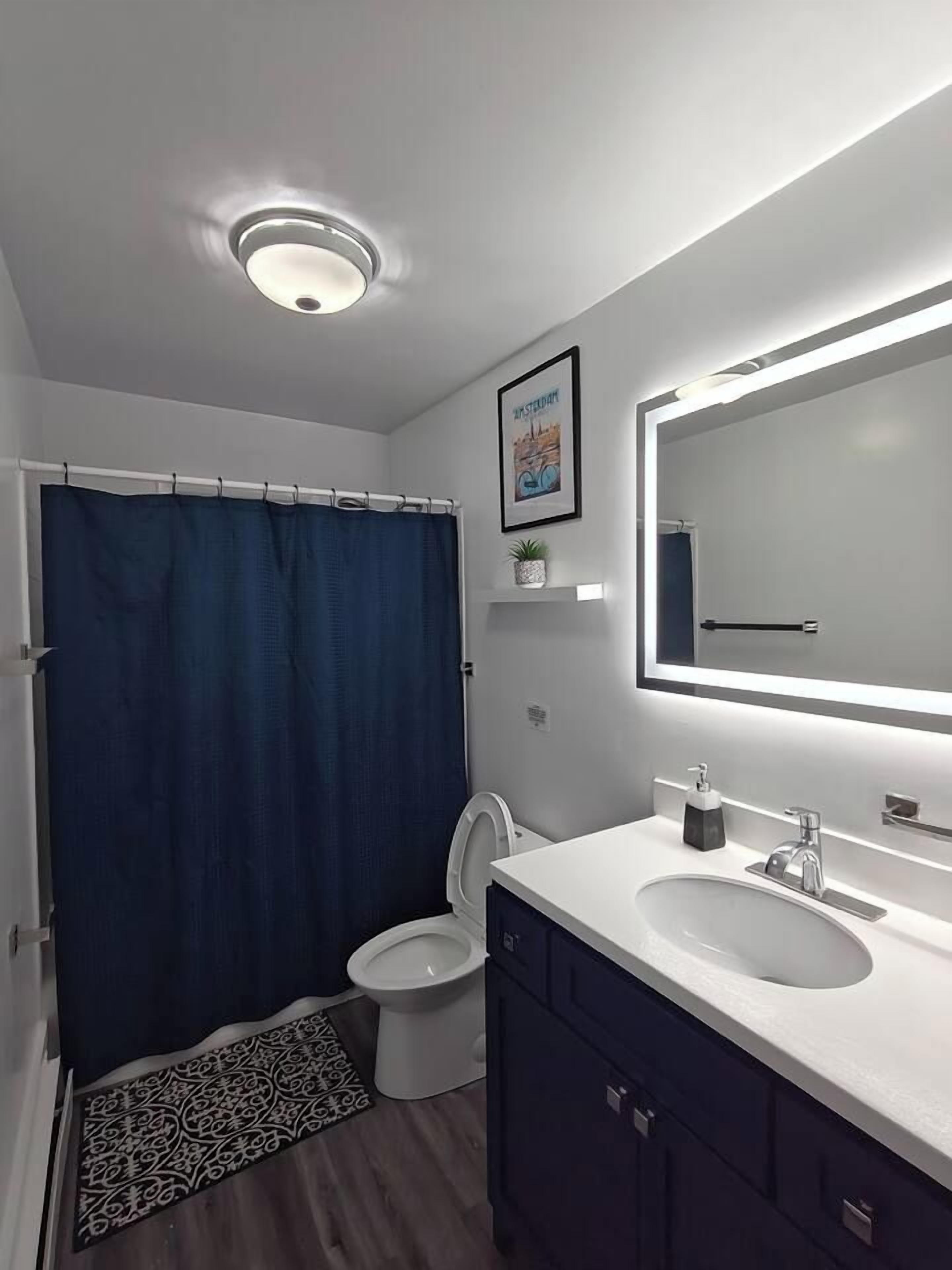 Een badkamer met toilet, wastafel, spiegel en douchegordijn.