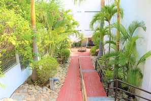 A pathway with a red brick surface, flanked by greenery and palm trees, leading to a building with a white facade.