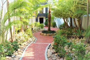 A pathway leading to a building entrance, surrounded by palm trees and a variety of plants. - Sea-view condo w/ pool & palapa (Puerto Escondido)