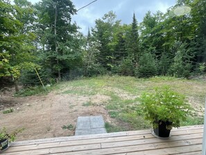 A wooden deck with a potted plant, a paved area, and a forested backdrop.
