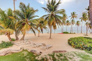 A beach with palm trees, lounge chairs, and a clear view of the ocean. - Beachfront Cap Cana Estate · Private Beach · Spa (Punta Cana)