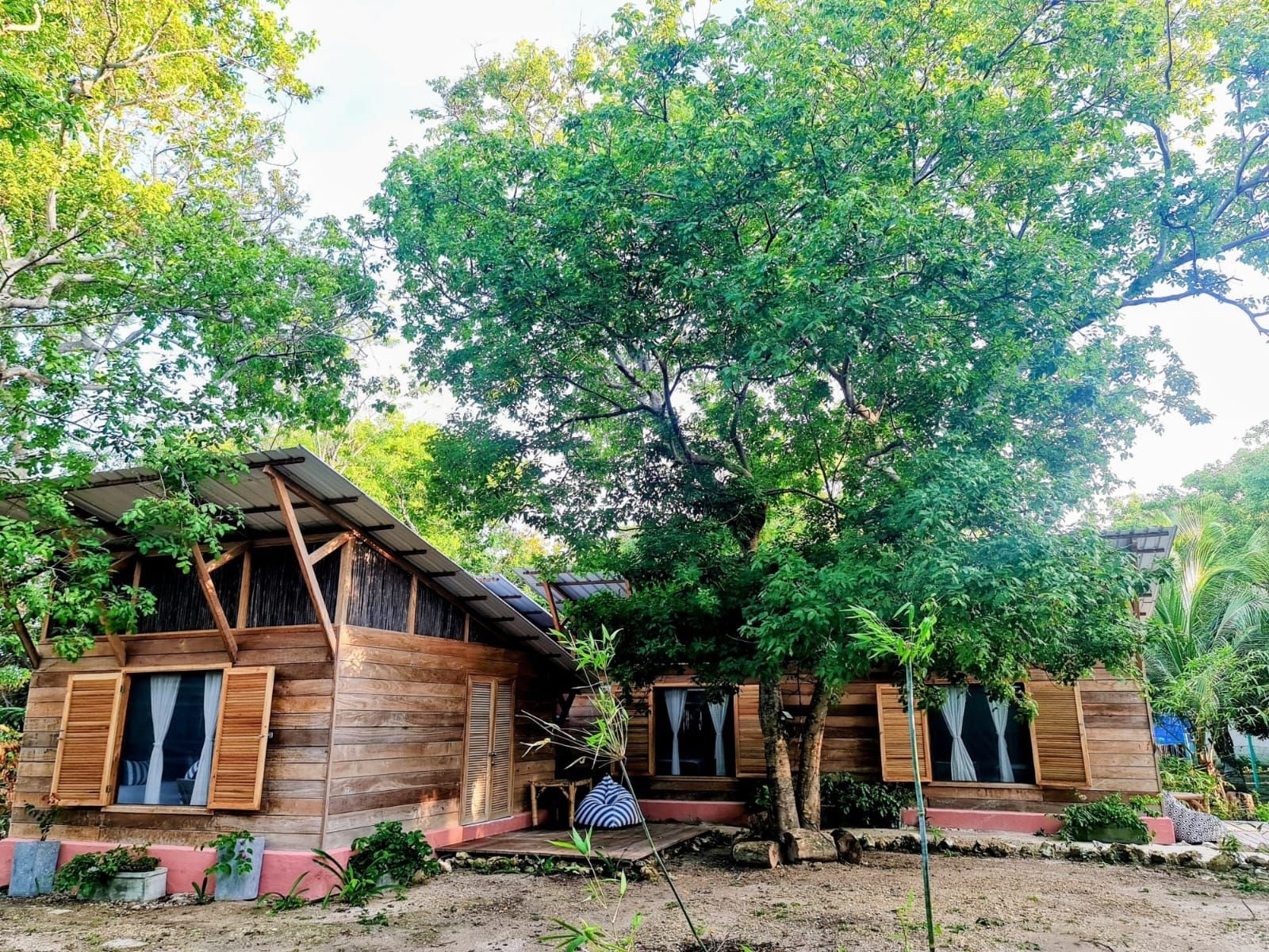 Una cabaña de madera con un porche, rodeada de abundante vegetación y  árboles.