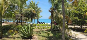 Um jardim tropical com palmeiras, uma praia e cadeiras de descanso.