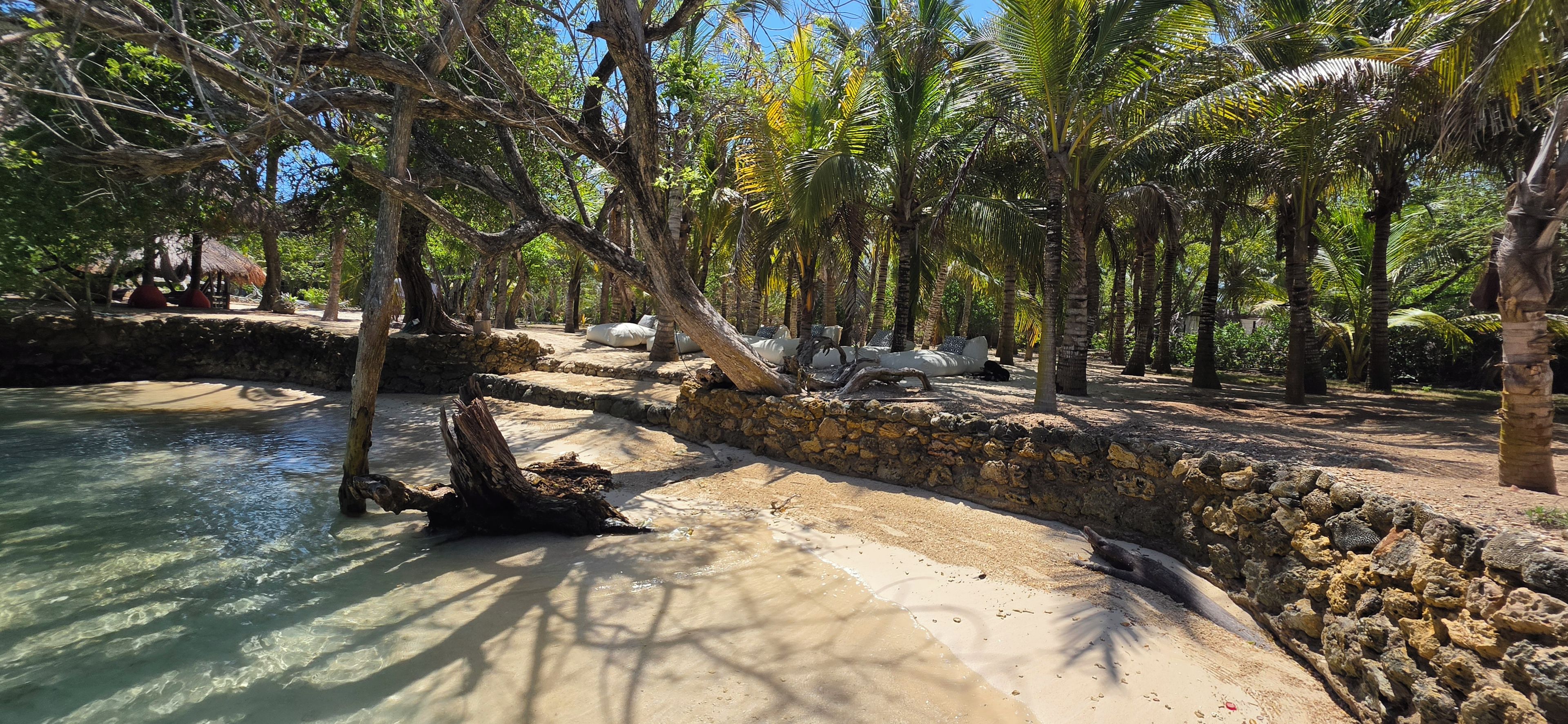 Un resort tropical con muro de piedra, palmeras y una piscina cristalina.