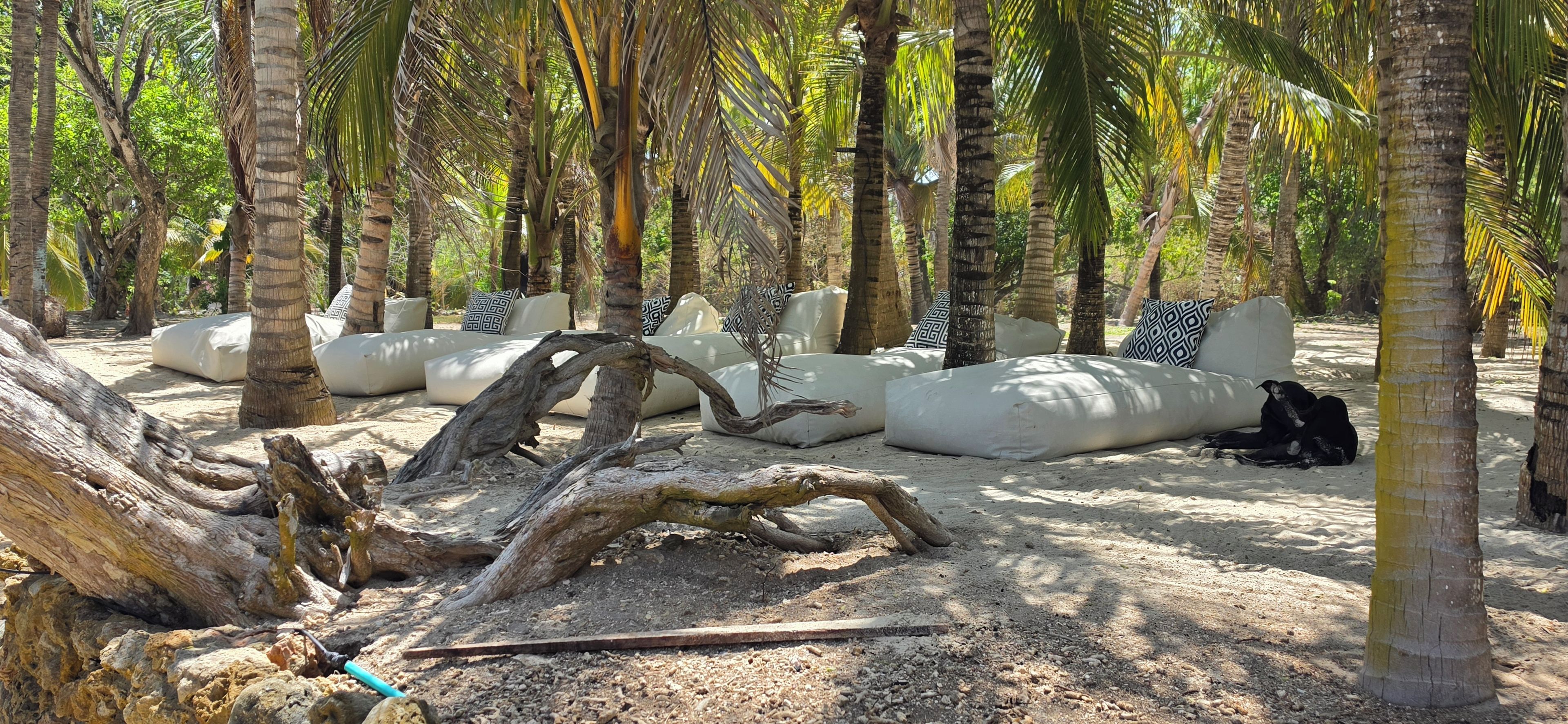 Ein Strandbild mit weiß gepolsterten Sitzgelegenheiten und einem großen Baumstamm im Vordergrund.